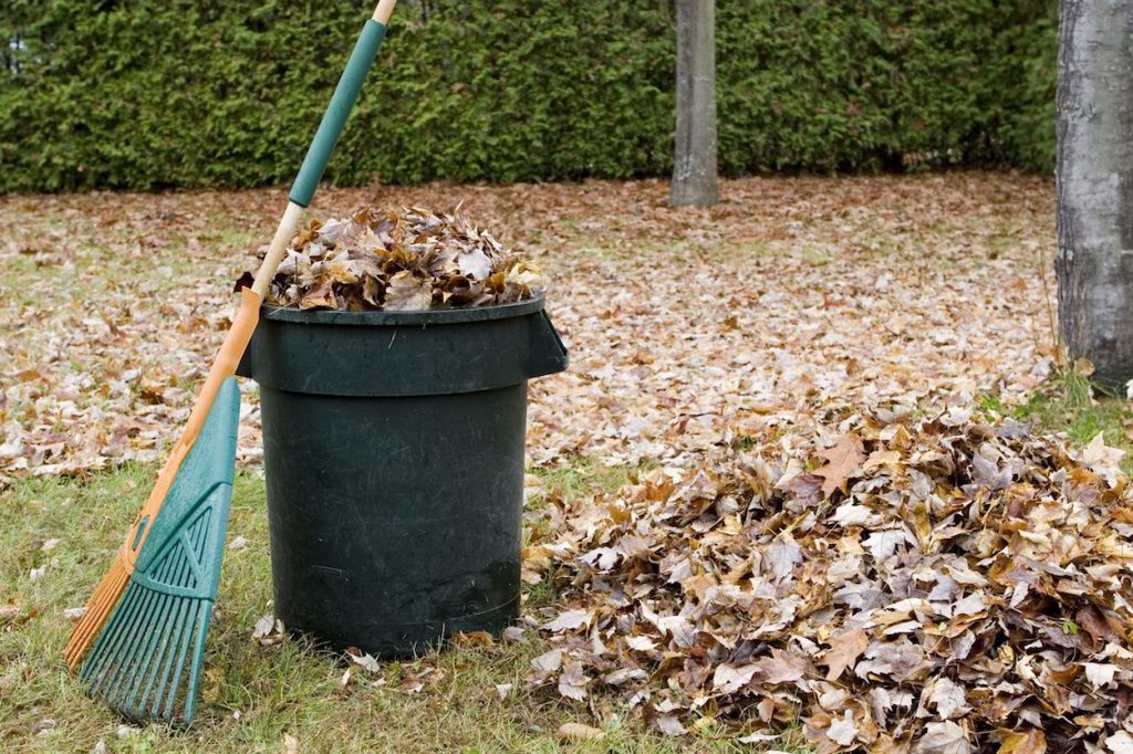 Complete Guide to Yard Waste Removal Services Bye Junk